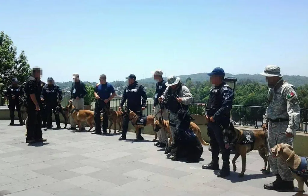 Equipo y guías con perros de trabajo, fotografía de la web original de WDS