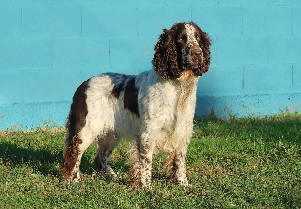 Published photograph of MILO, 2