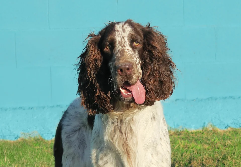 Published photograph of MILO, 5