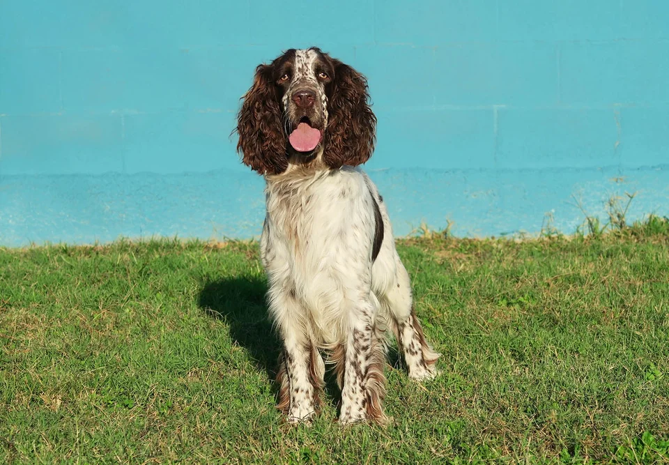 Published photograph of MILO, 6