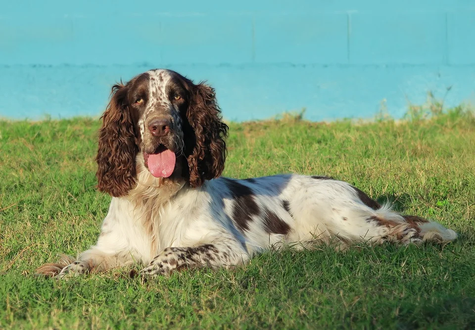 Published photograph of MILO, 3
