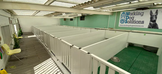 Interior de WDS con módulos de alojamiento individuales y zona cubierta