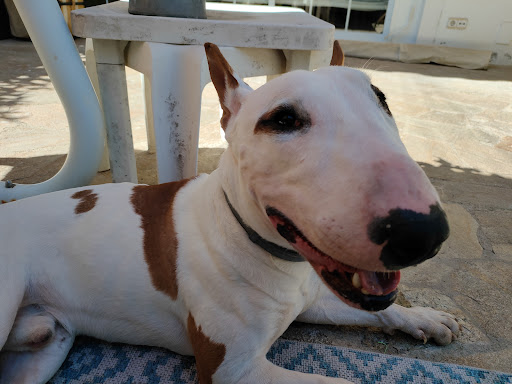 Turbo, foto compartida por Mart Mart en su reseña de Google