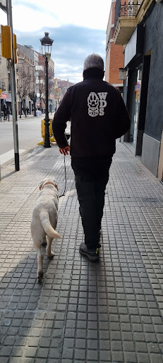 Roko paseando con una persona con chaqueta WDS, foto compartida por Sara De Melo en su reseña de Google