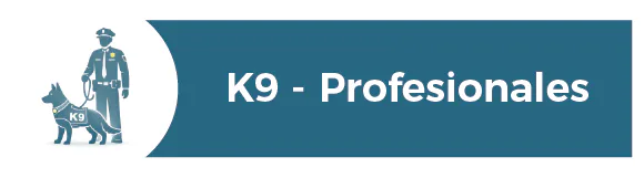 K9 detection assessment
