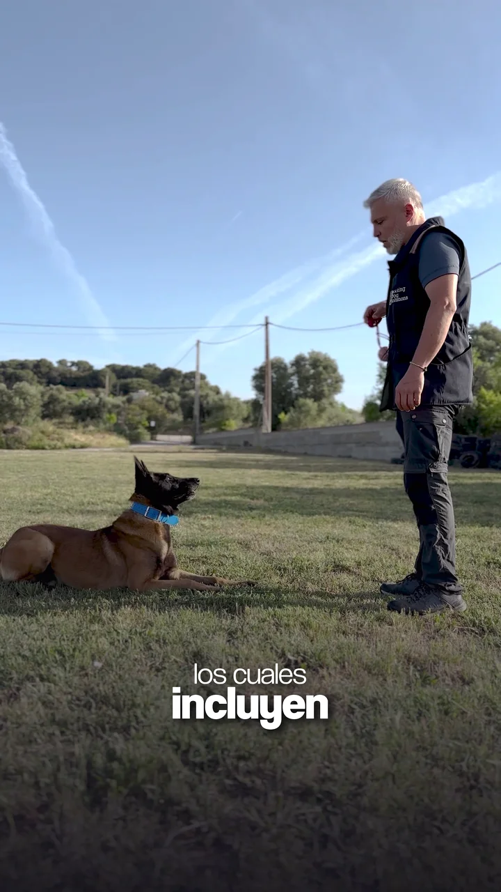 Working Dog Solutions training presentation