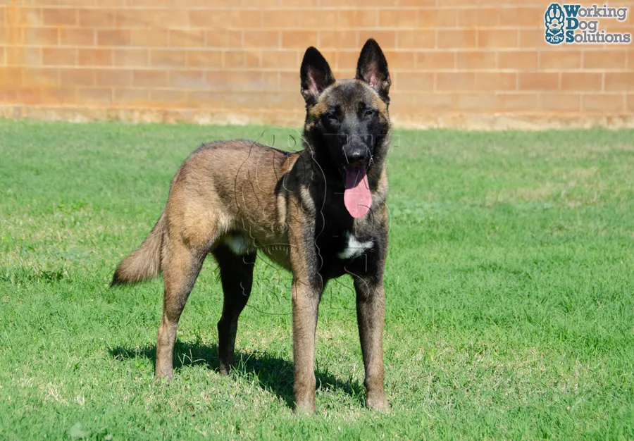MAX, archivo fotográfico