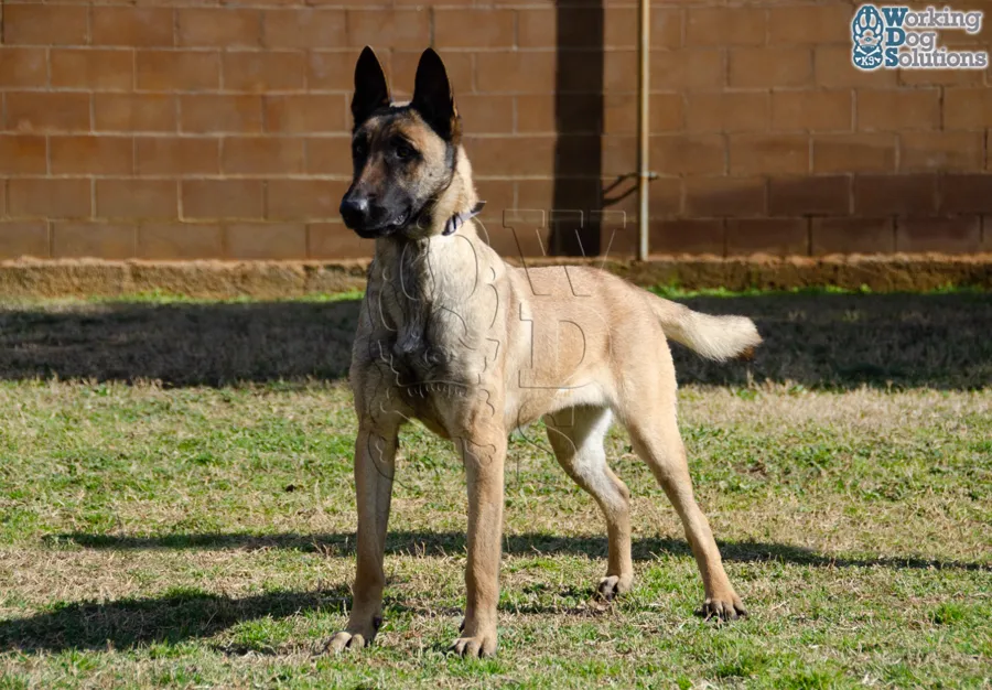 NALA, archivo fotográfico