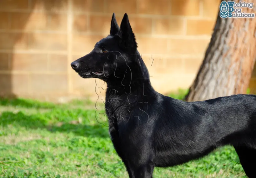 XENA, archivo fotográfico