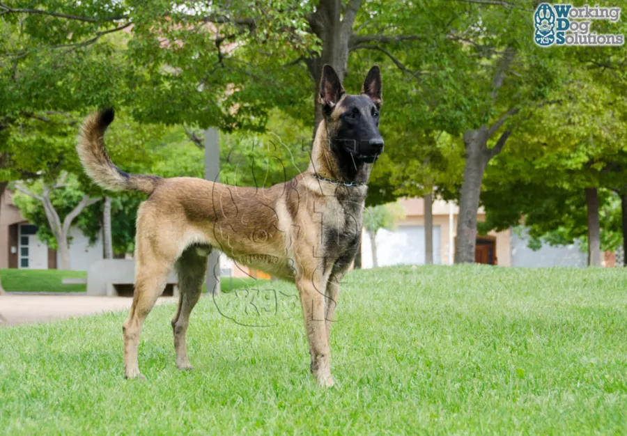 ARON, archivo fotográfico