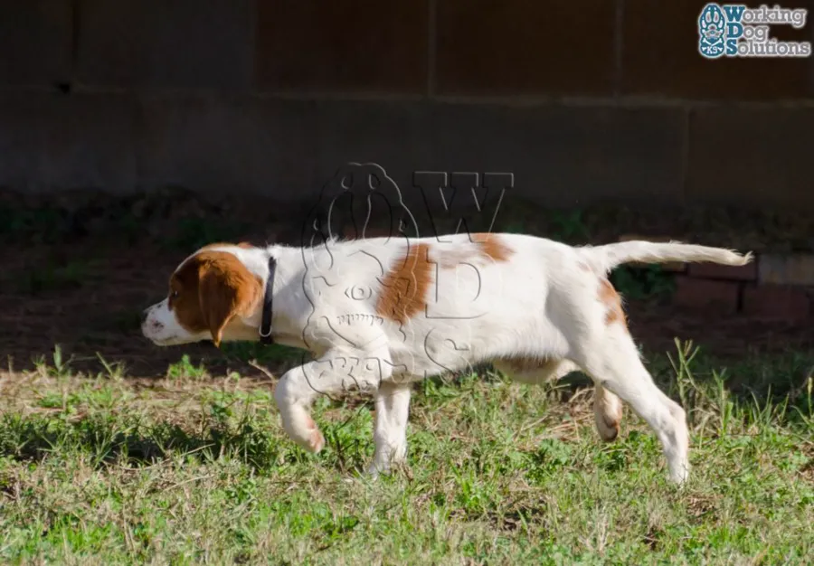 EMY, archivo fotográfico