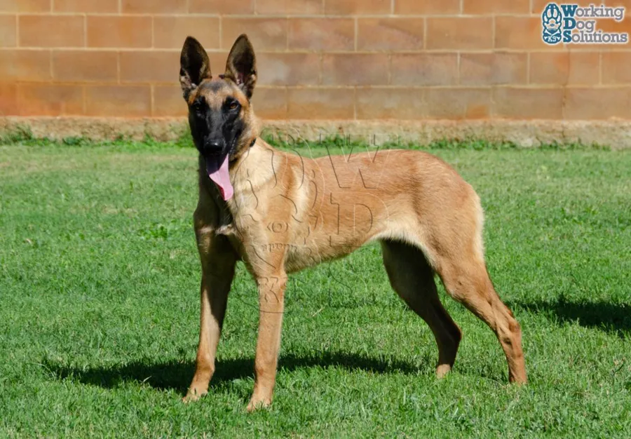 HESTIA, archivo fotográfico